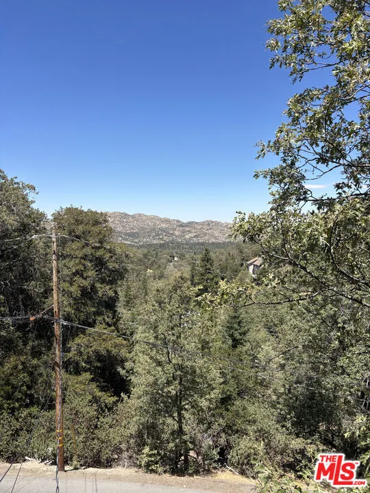 1327 Evergreen Lane Lake Arrowhead, CA 92352