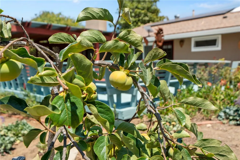 720 Carnation Lane Fallbrook, CA 92028