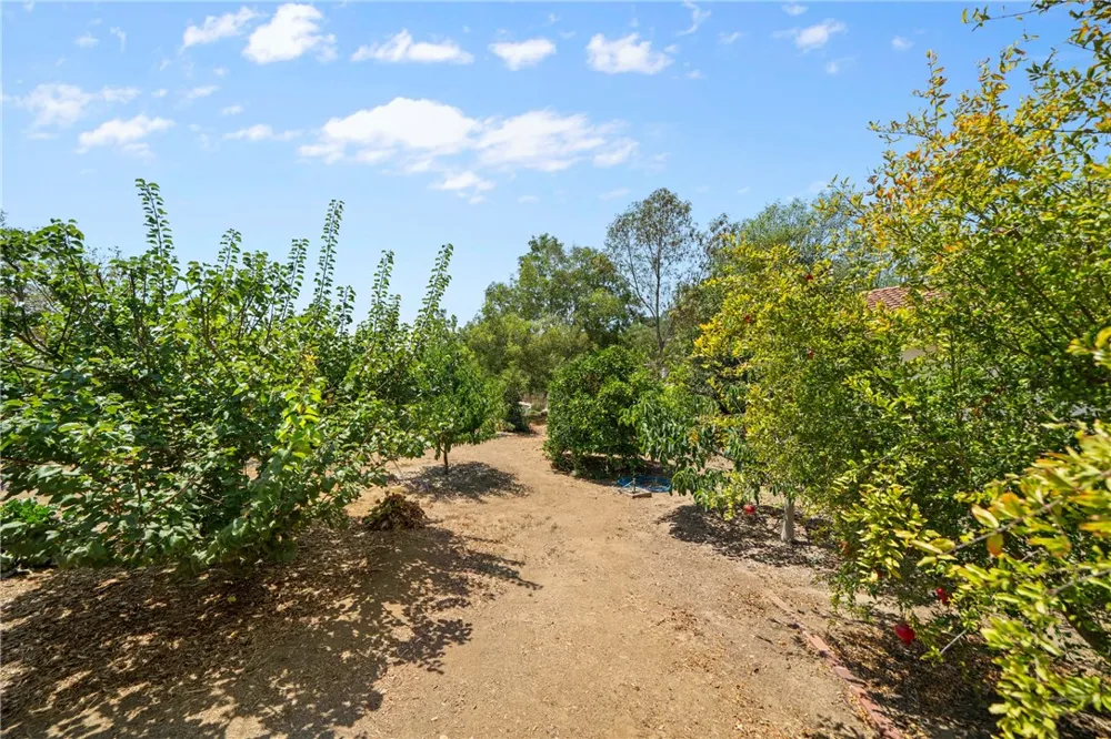 720 Carnation Lane Fallbrook, CA 92028