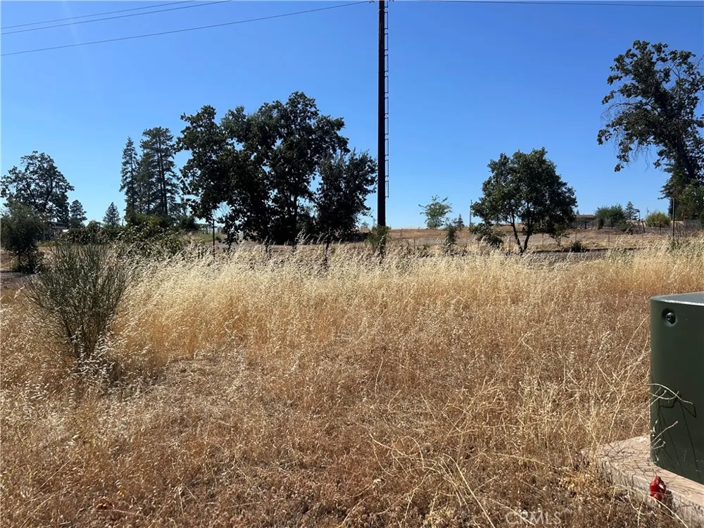 5731 Scottwood Paradise, CA 95969