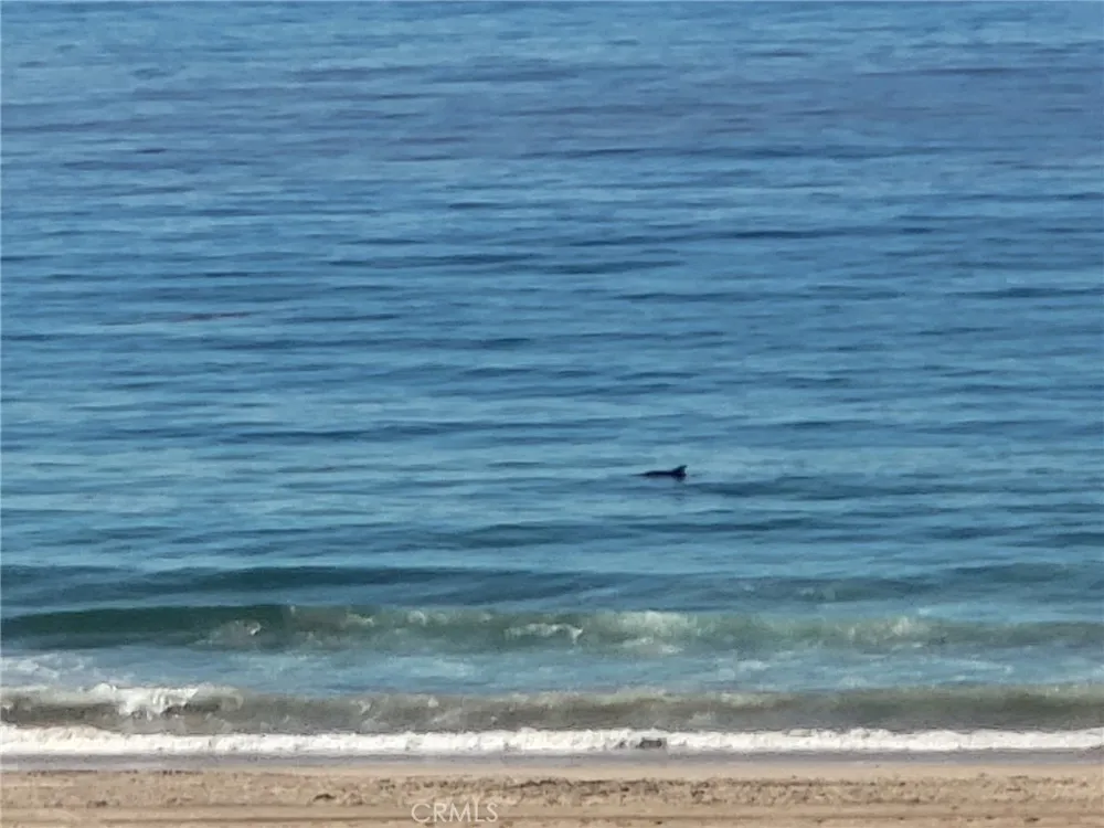 3600 The Strand #A Manhattan Beach, CA 90266