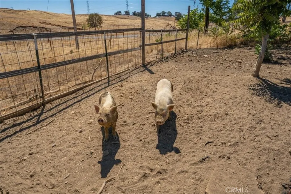 14020 Eastridge Red Bluff, CA 96080