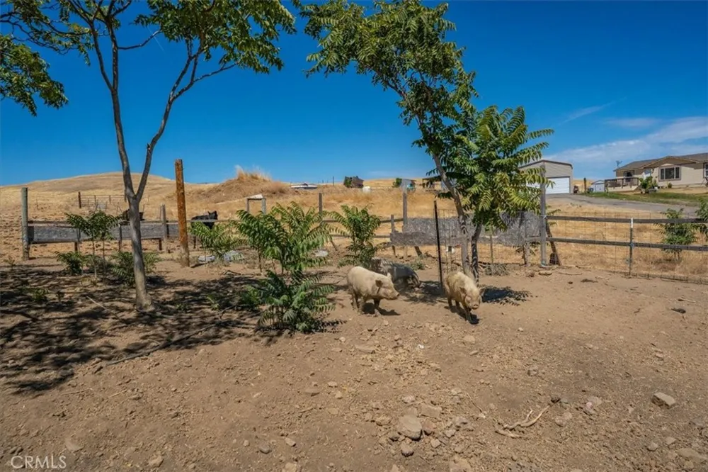 14020 Eastridge Red Bluff, CA 96080