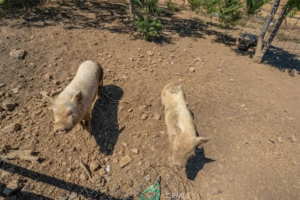 14020 Eastridge Red Bluff, CA 96080