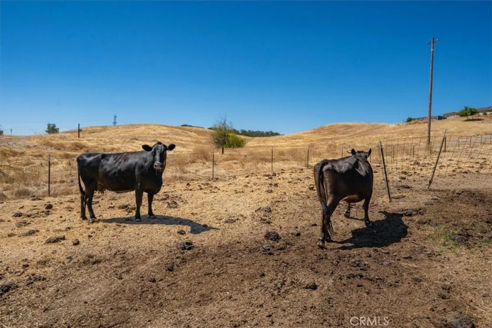 14020 Eastridge Red Bluff, CA 96080