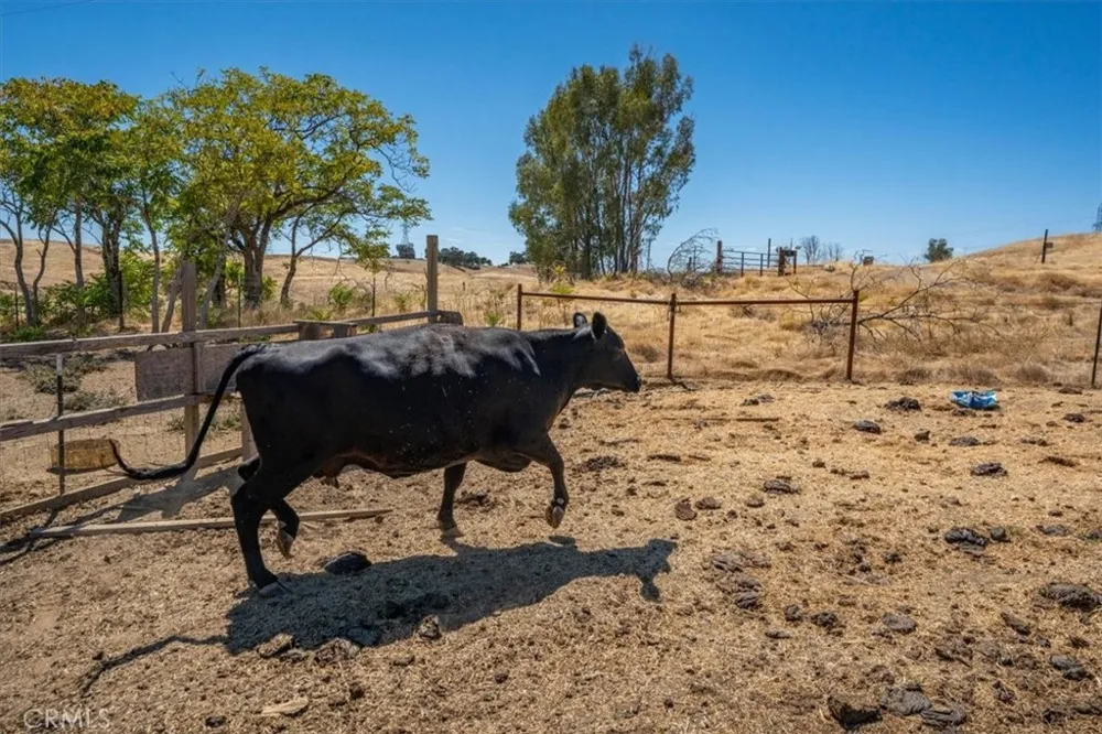 14020 Eastridge Red Bluff, CA 96080