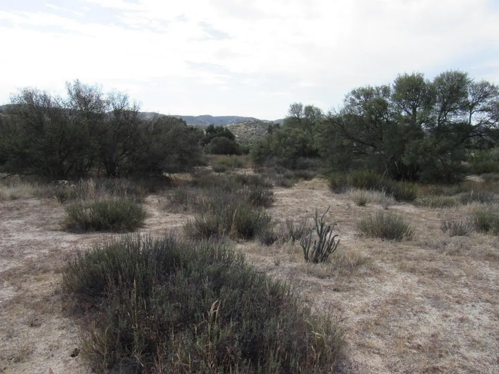 33530 Highway 94 Campo, CA 91906