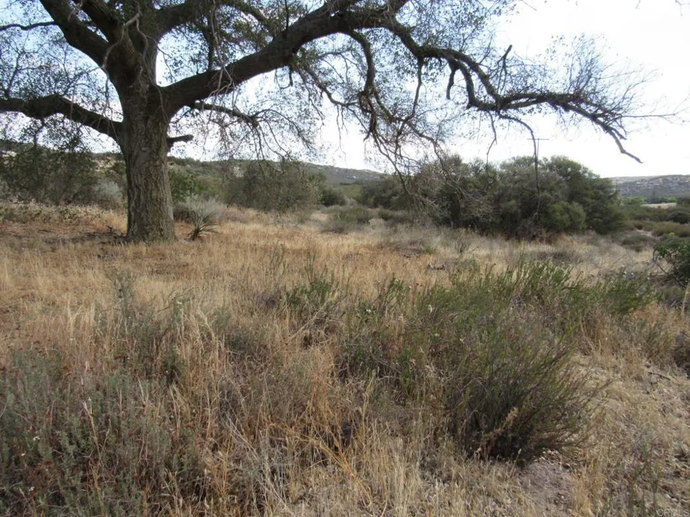 33530 Highway 94 Campo, CA 91906