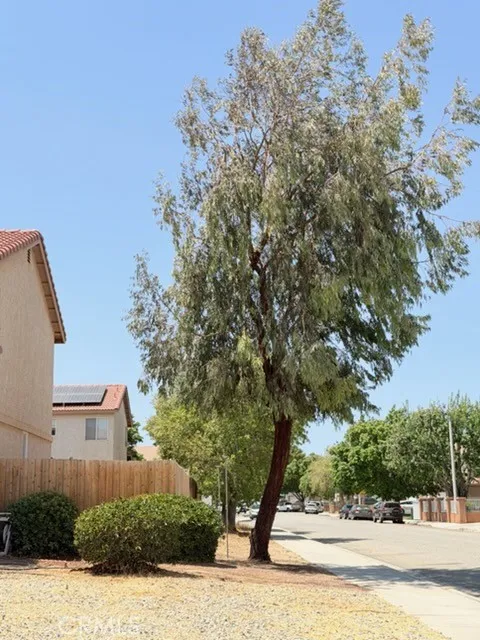 36547 Caleandra Street Palmdale, CA 93552