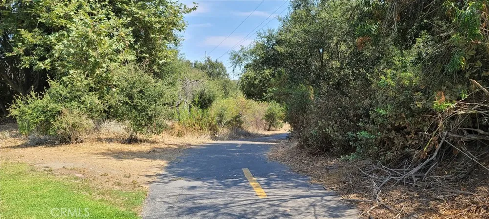 33722 Bridgehampton Drive Dana Point, CA 92629