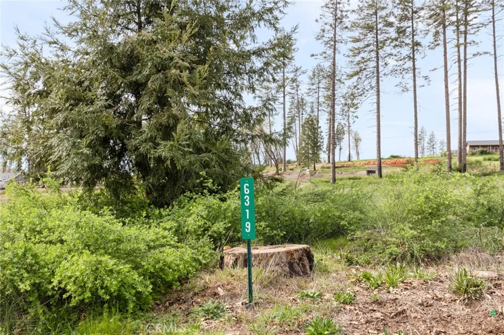 6319 Azalea Lane Paradise, CA 95969