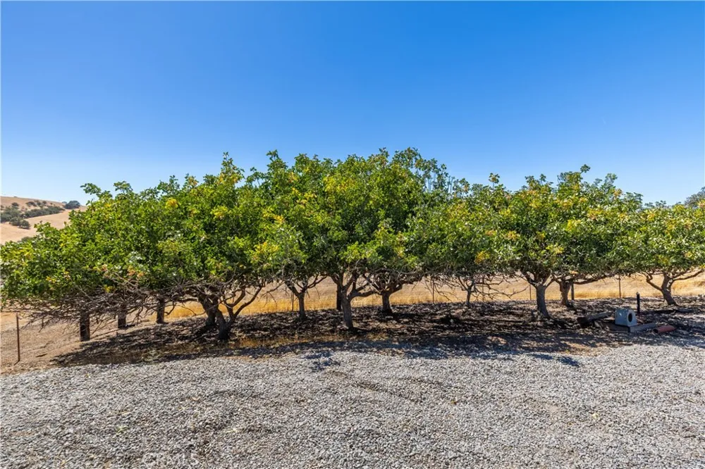 5750 Ground Squirrel Hollow Paso Robles, CA 93446