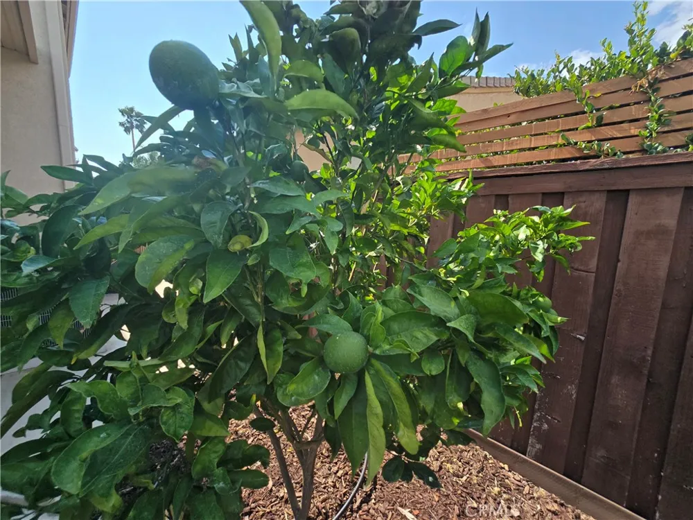 43160 Volterra Street Temecula, CA 92592