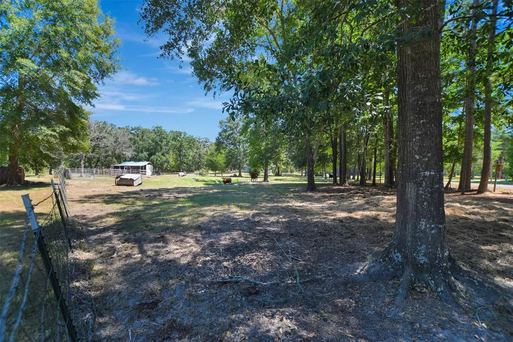 147 Catechis Road Huntsville, TX 77320