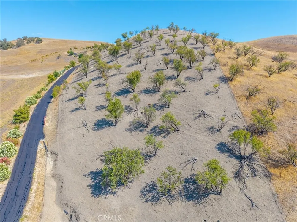 80020 Eva San Miguel, CA 93451