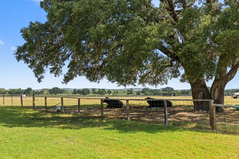 3764 Ranch Road 1623 Blanco, TX 78606