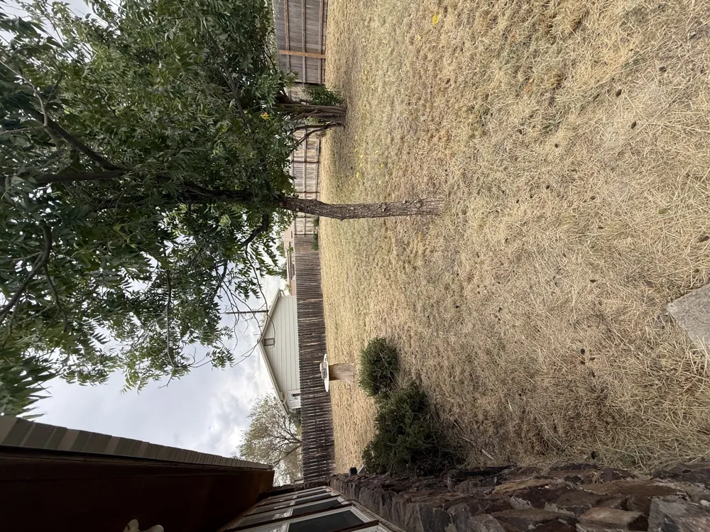 204 Circle C Avenue Fort Davis, TX 79734