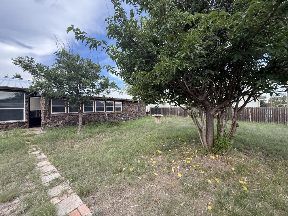 204 Circle C Avenue Fort Davis, TX 79734