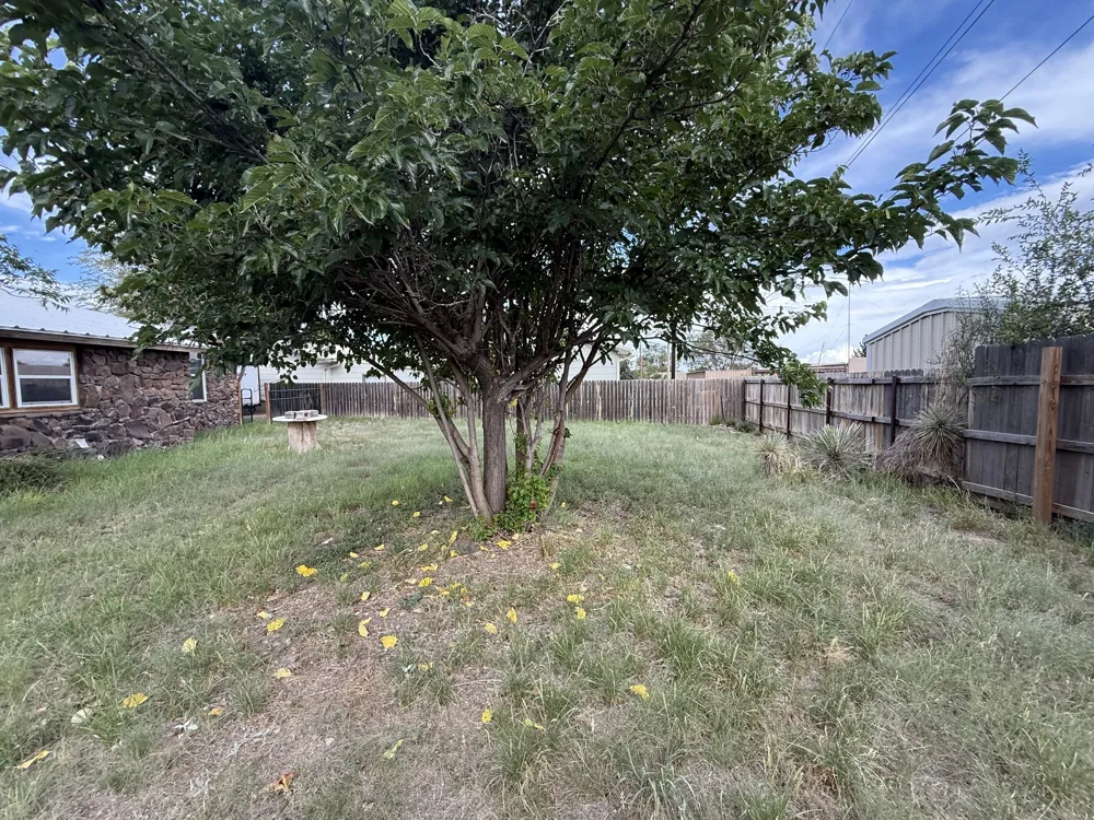 204 Circle C Avenue Fort Davis, TX 79734