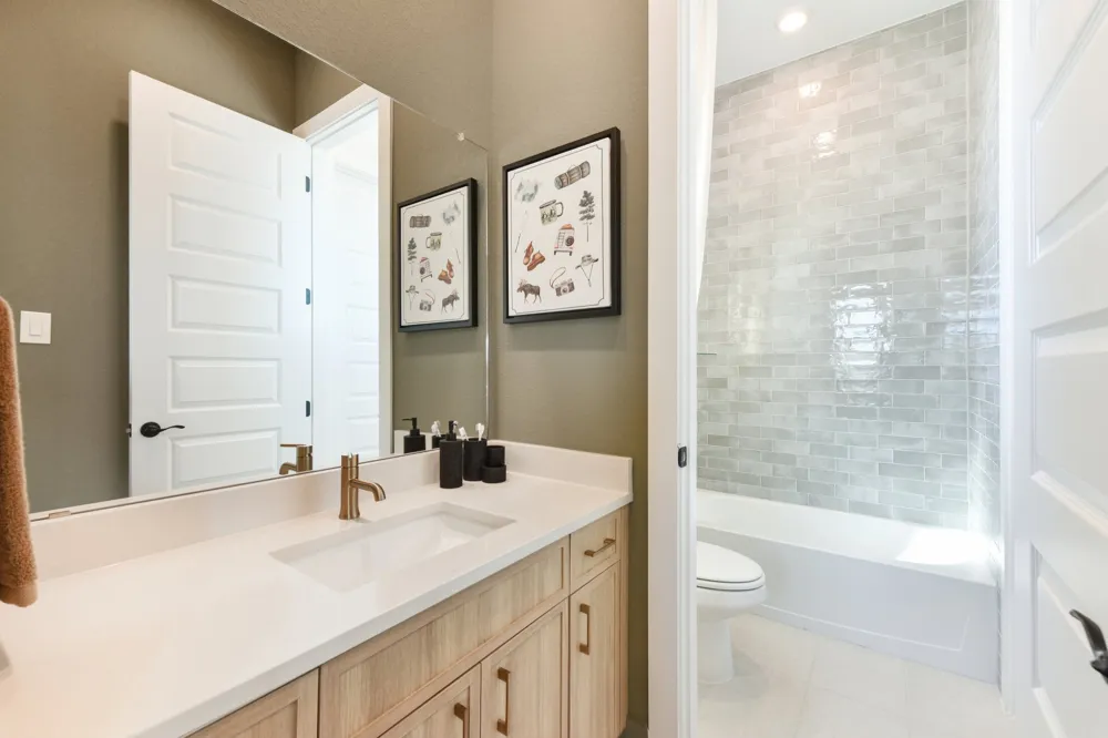 19501 Helens Catch Drive Pflugerville, TX 78660