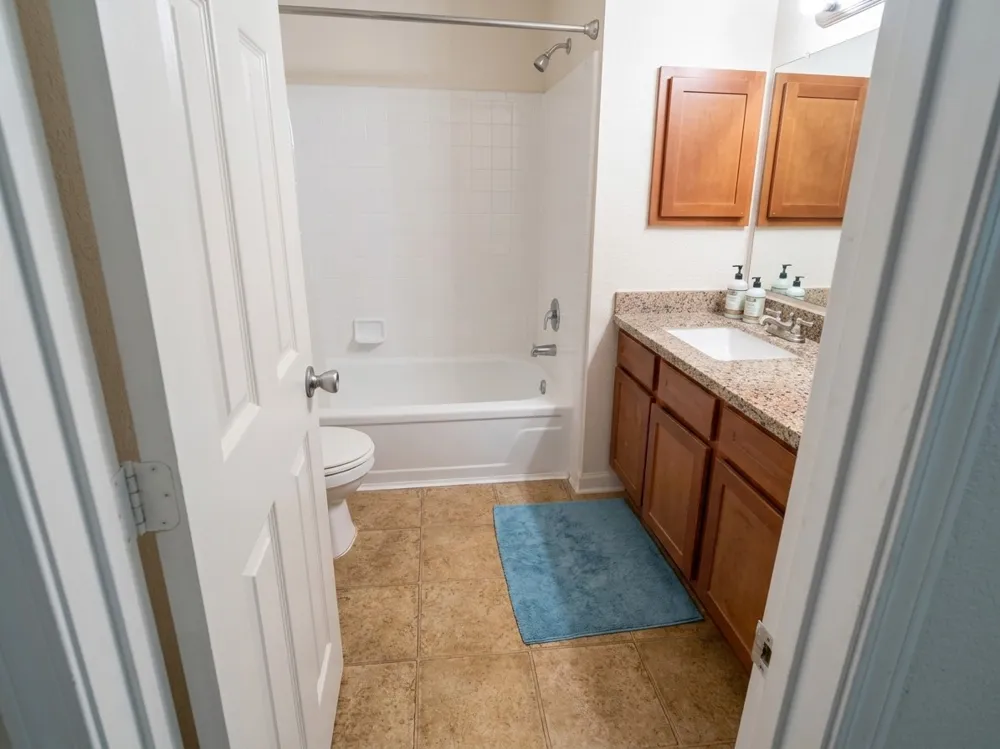 8100 Creekbend Drive #132 Houston, TX 77071
