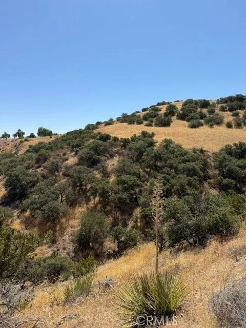 Summit Knoll Road Agua Dulce, CA 91350