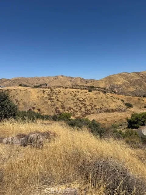 Summit Knoll Road Agua Dulce, CA 91350