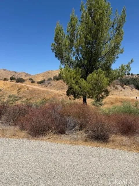 Summit Knoll Road Agua Dulce, CA 91350