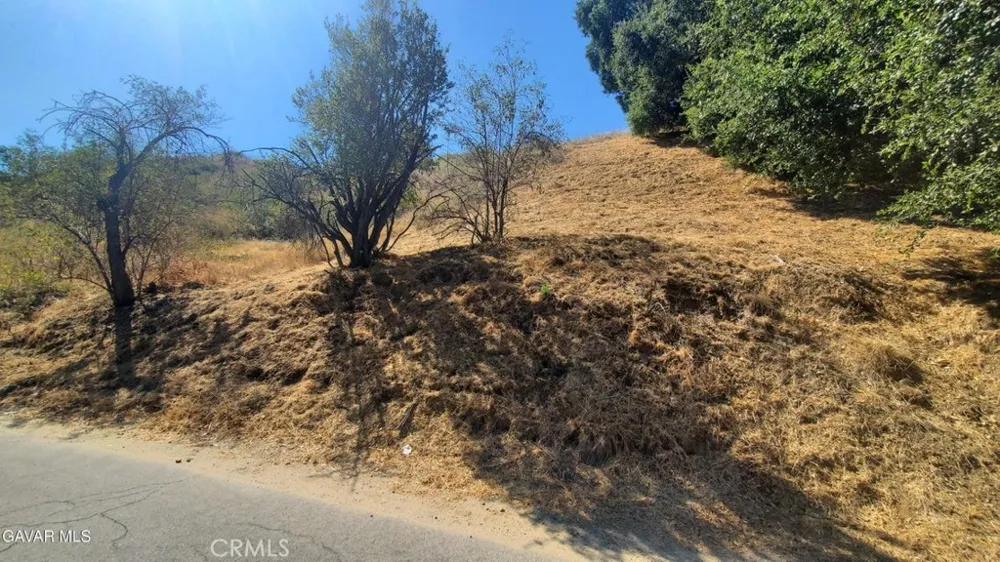 Hunstock St Val Verde, CA 91384