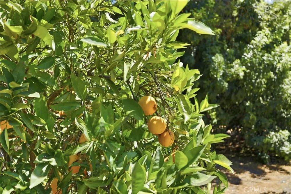 28935 Palos Verdes E Rancho Palos Verdes, CA 90275