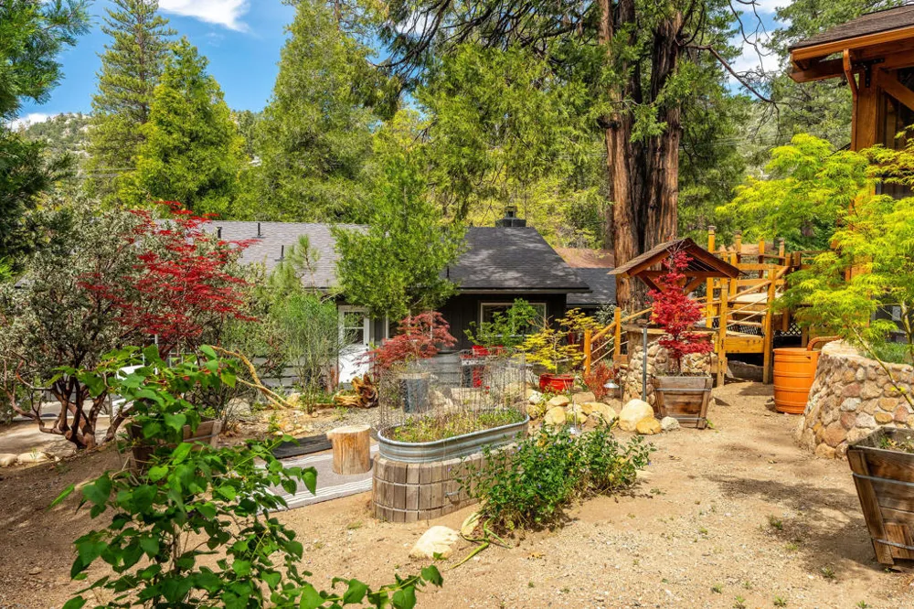 25106 Rim Rock Road Idyllwild, CA 92549