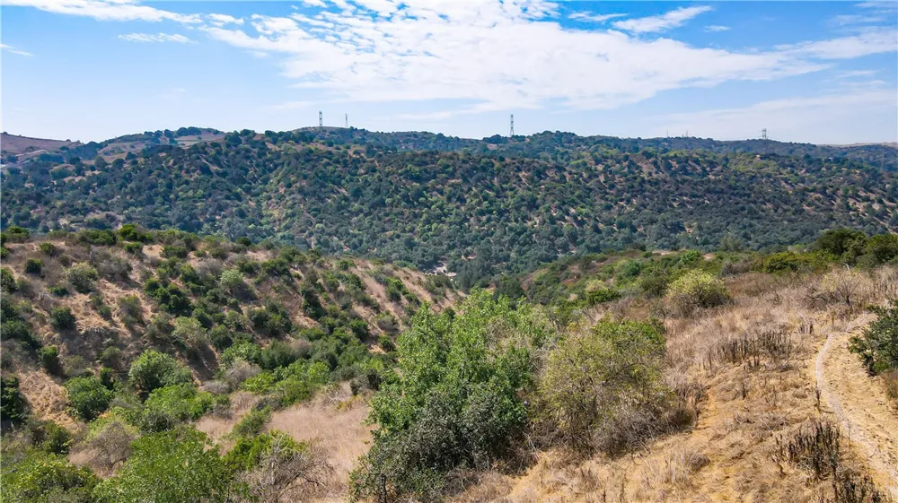 2871 Live Oak Dr Diamond Bar, CA 91765