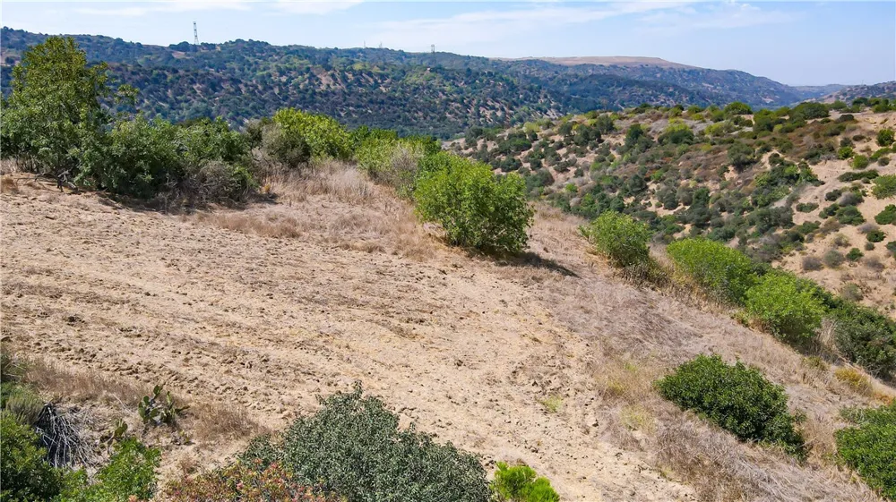 2871 Live Oak Dr Diamond Bar, CA 91765