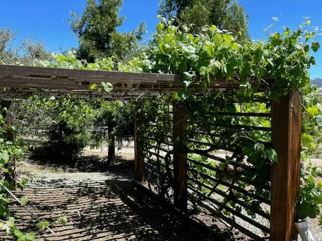 37043 Goldshot Creek Road Mountain Center, CA 92561
