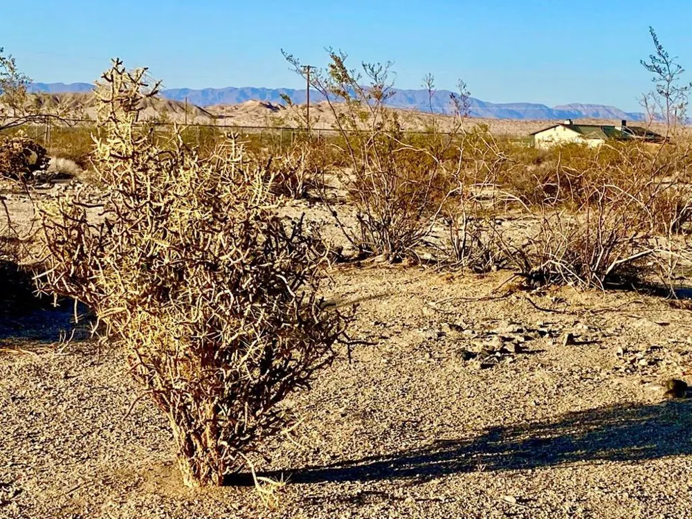 75000 Cottonwood Drive 29 Palms, CA 92277