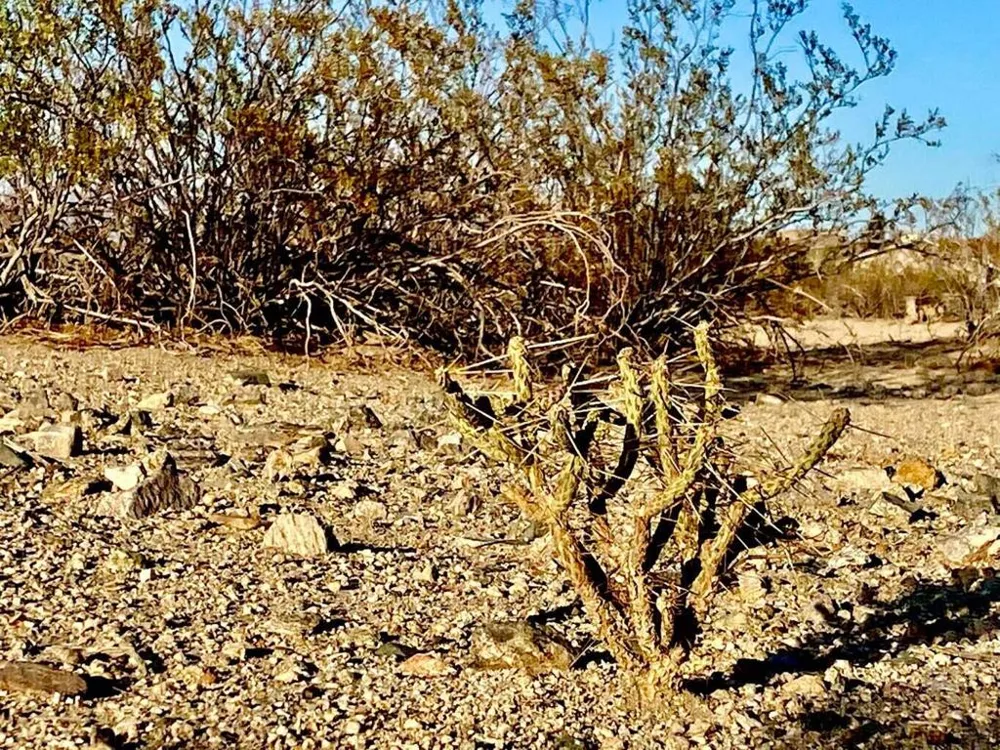 75000 Cottonwood Drive 29 Palms, CA 92277