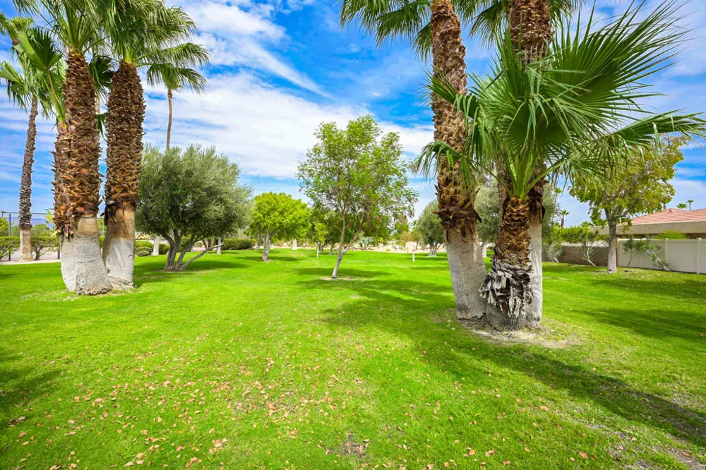 1548 Sunflower Court Palm Springs, CA 92262