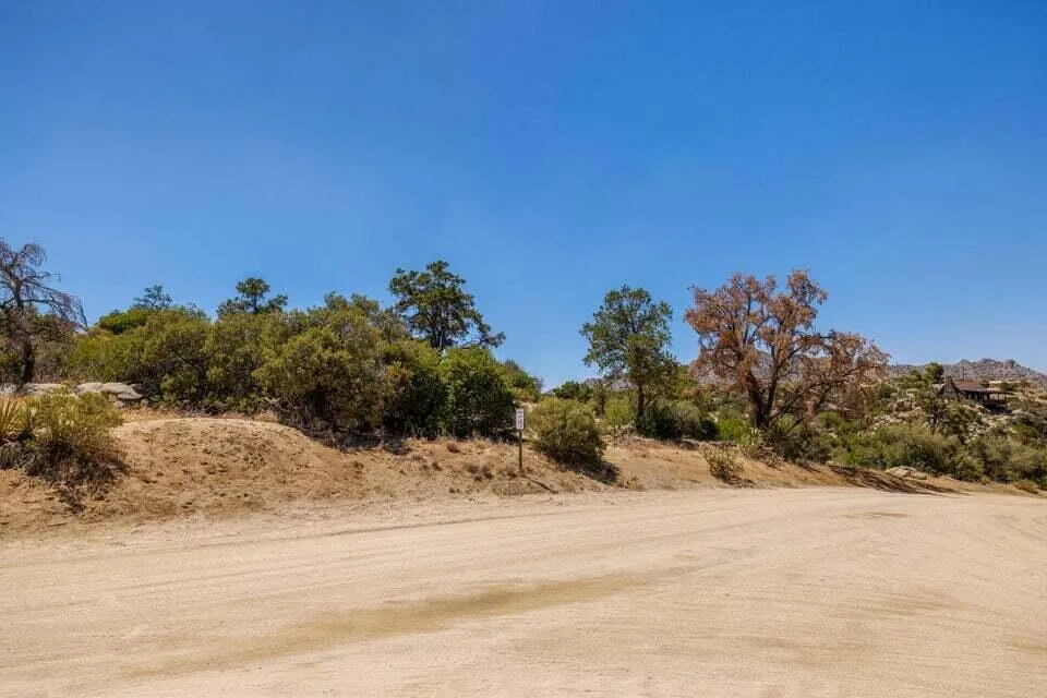 Scenic Drive Mountain Center, CA 92561