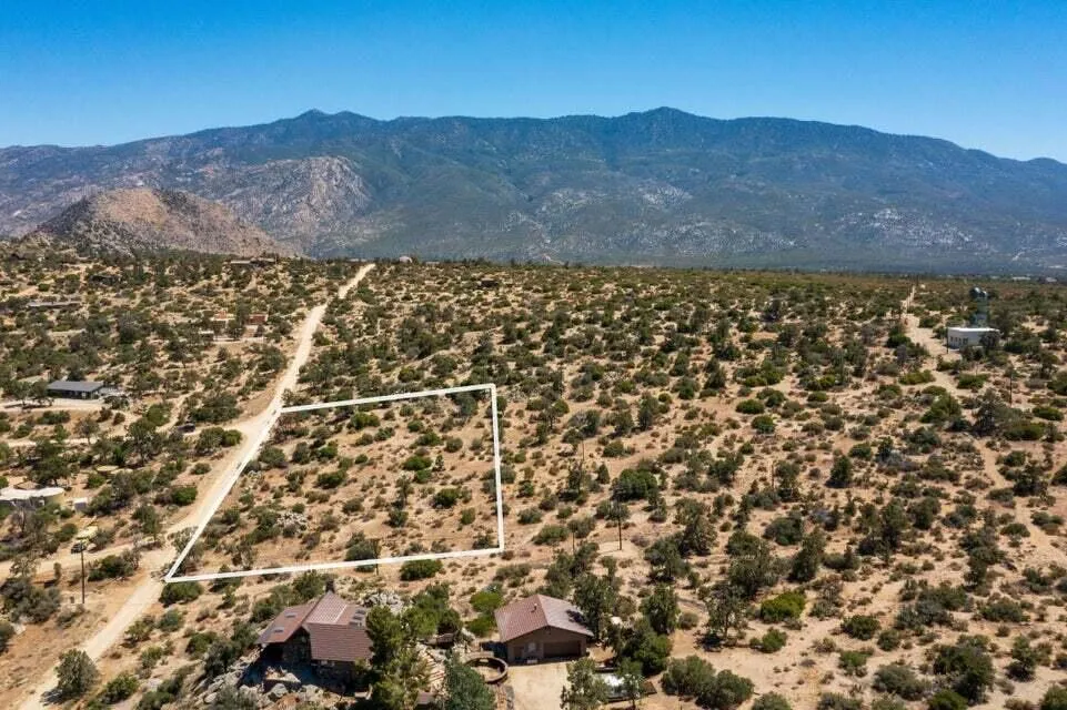 Scenic Drive Mountain Center, CA 92561