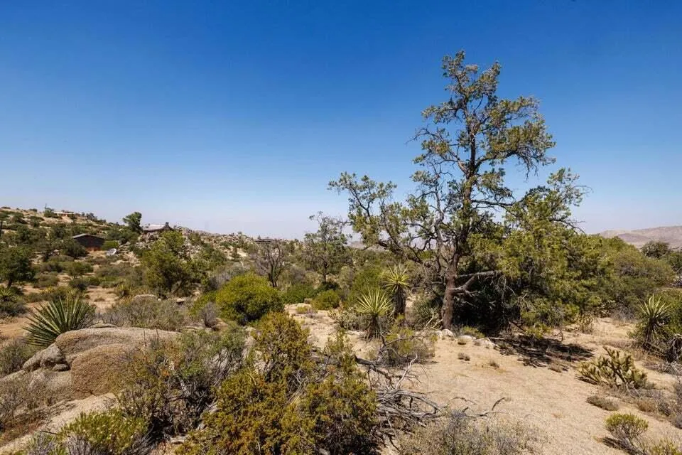 Scenic Drive Mountain Center, CA 92561