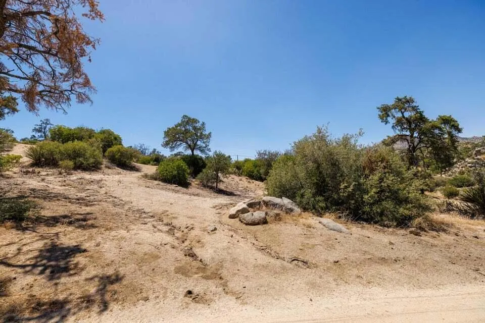 Scenic Drive Mountain Center, CA 92561