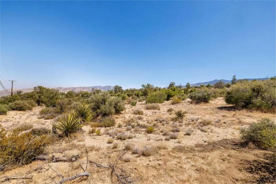 Scenic Drive Mountain Center, CA 92561