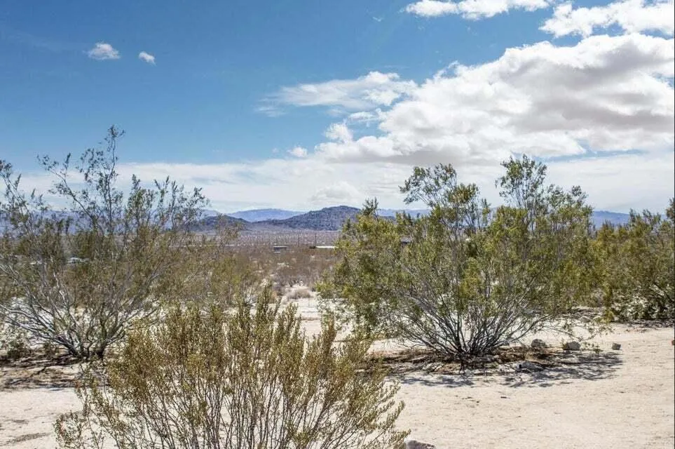 63637 Gemini Road Joshua Tree, CA 92252