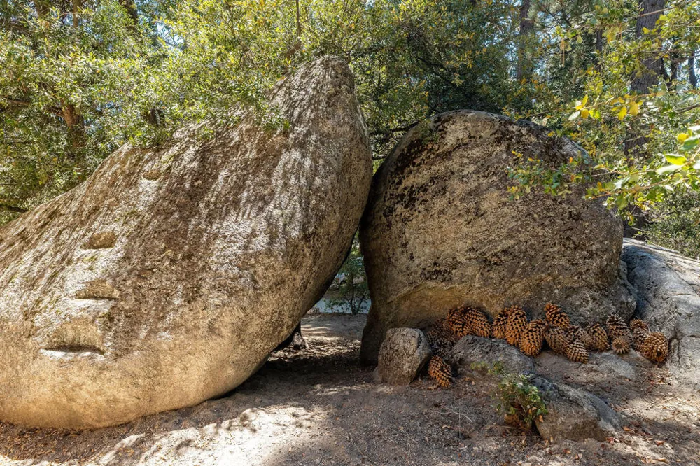 25265 Foster Lake Road Idyllwild, CA 92549