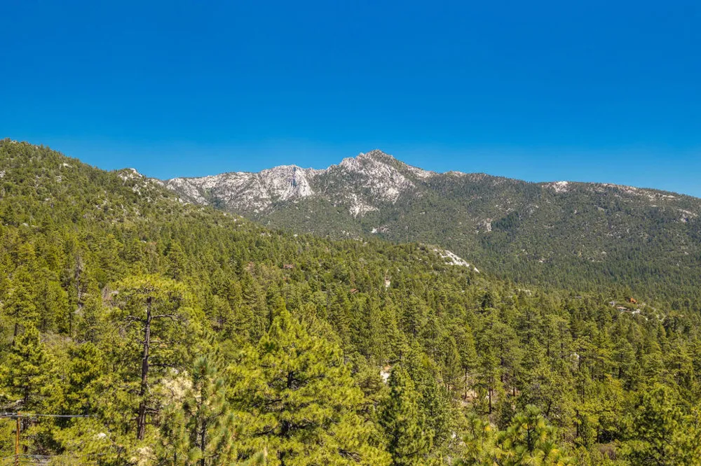 25265 Foster Lake Road Idyllwild, CA 92549