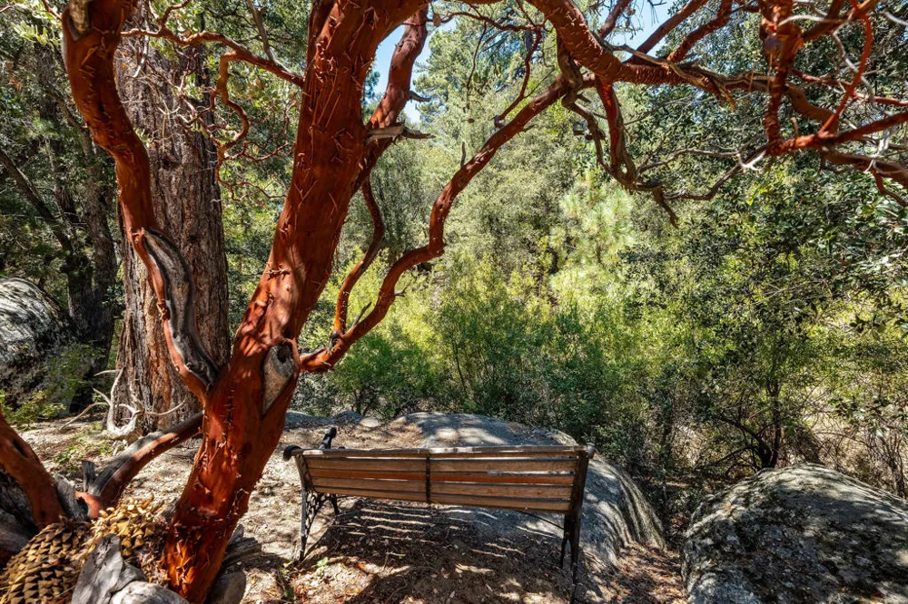 25265 Foster Lake Road Idyllwild, CA 92549
