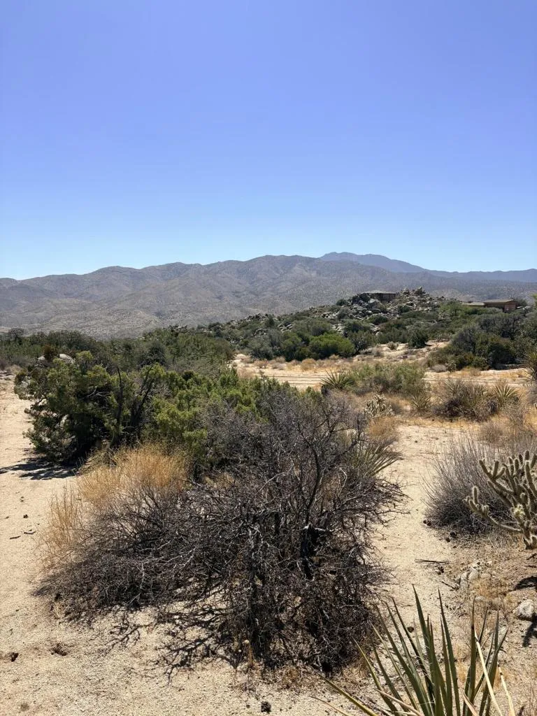 Ave Encino Mountain Center, CA 92561