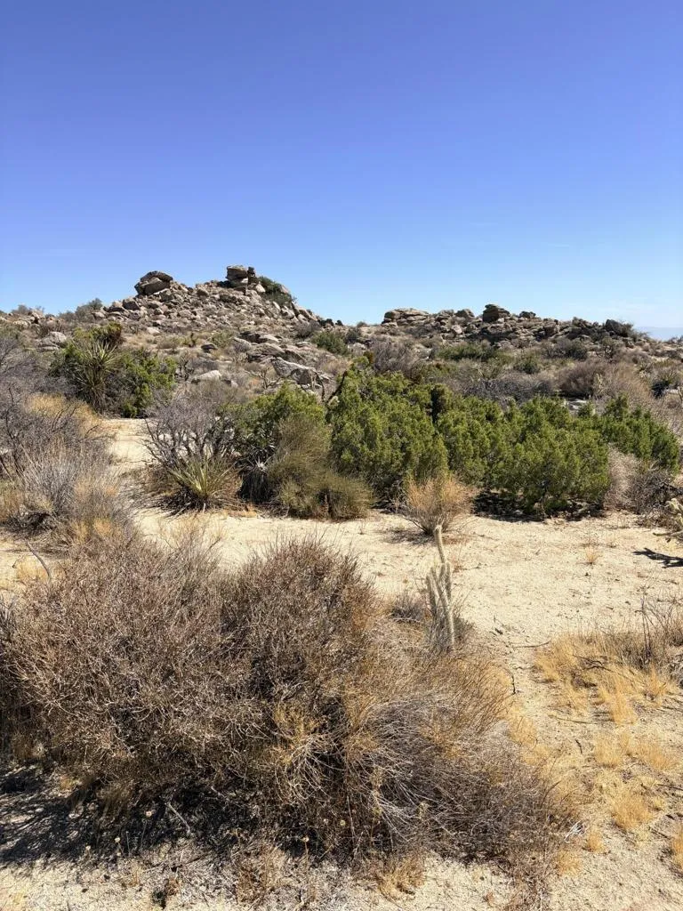 Ave Encino Mountain Center, CA 92561