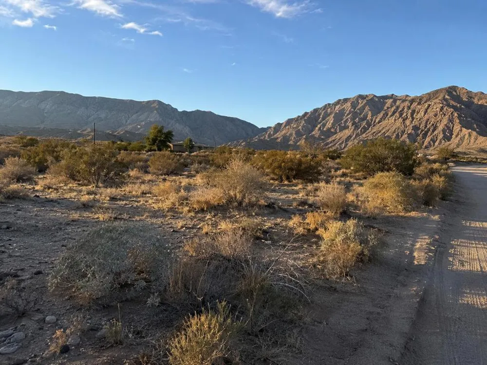 Ave Encino Mountain Center, CA 92561
