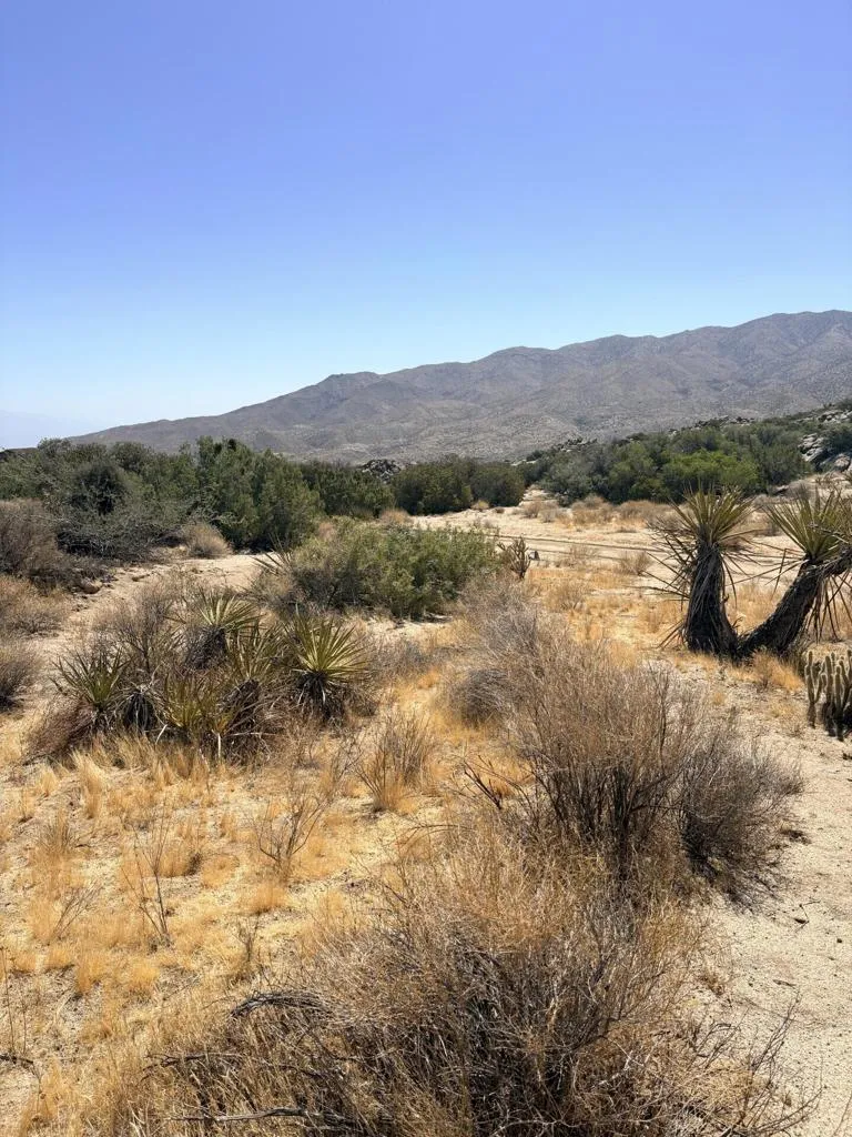 Ave Encino Mountain Center, CA 92561